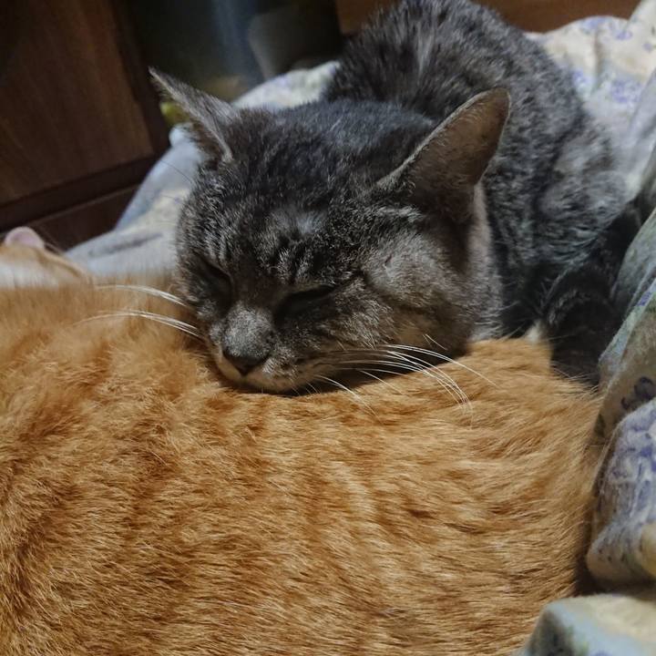 982a4e15 aca3 49ac 9650 0113c6ec1f19 1579614303676