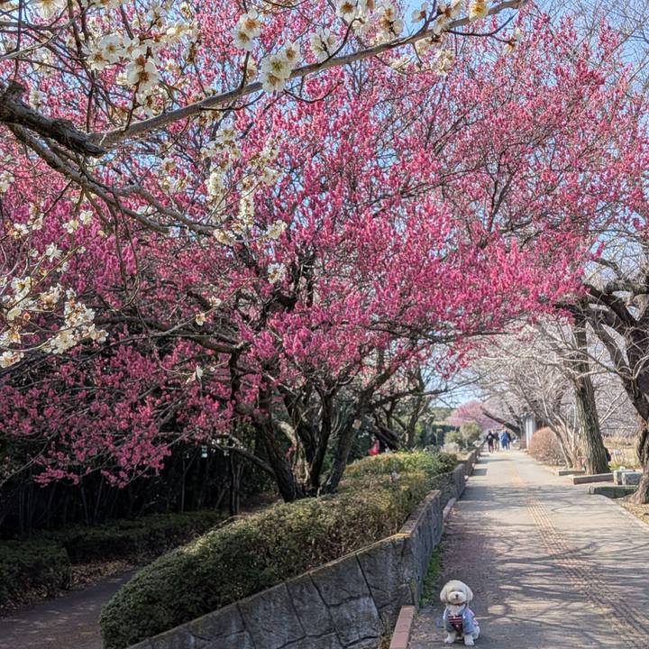 982a7a0d 683a 4775 b6c7 fe4231d9e8d8 1771812380890