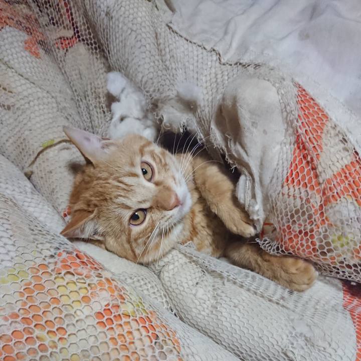 982a7f03 ce3d 46b0 9f4b 1565b4895a12 1646686692975