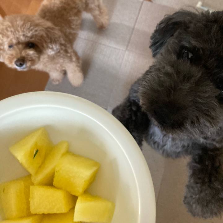 982a9e13 37d0 4806 a2d7 e2f8f24d69c5 1659506626646