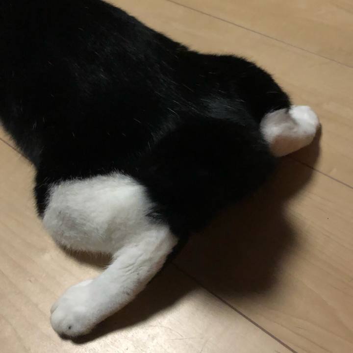 982ab3f9 e5cf 4bea a71d db4218bef796 1567437397836