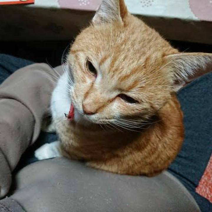 982ac07f 9933 4293 8eb9 f32f585164d7 1575409198253