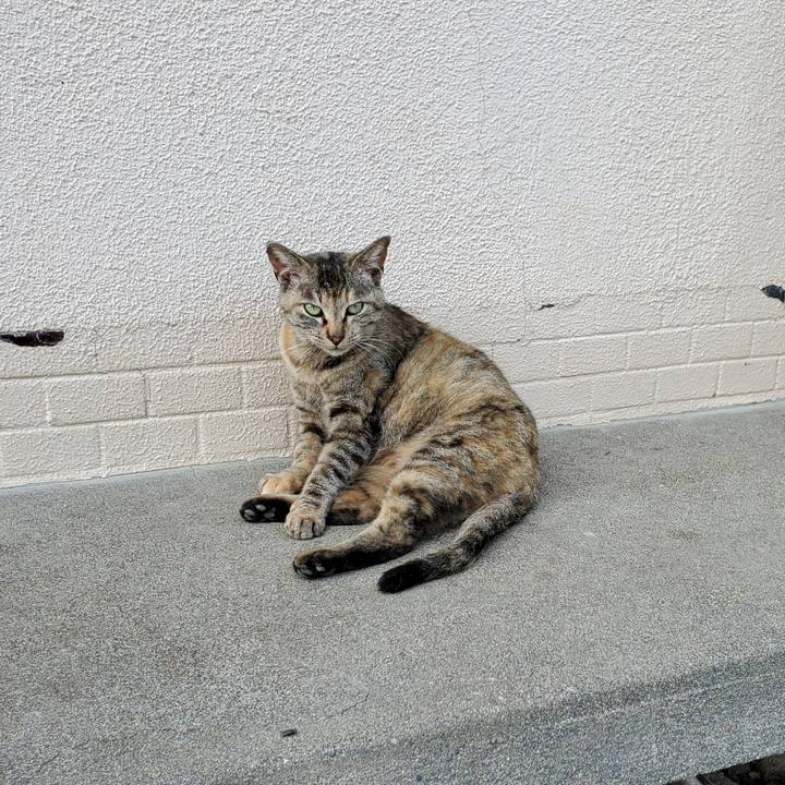 982ae15f 4679 4e9b aa12 2f7186c90f36 1719151919459