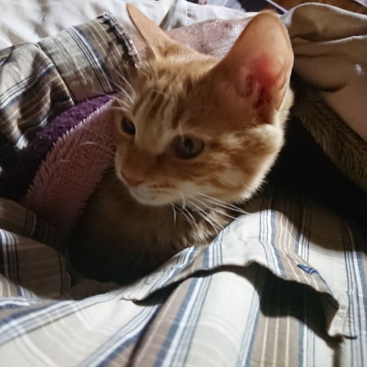 982af224 7f03 4697 a119 d8f211bda410 1635538442970