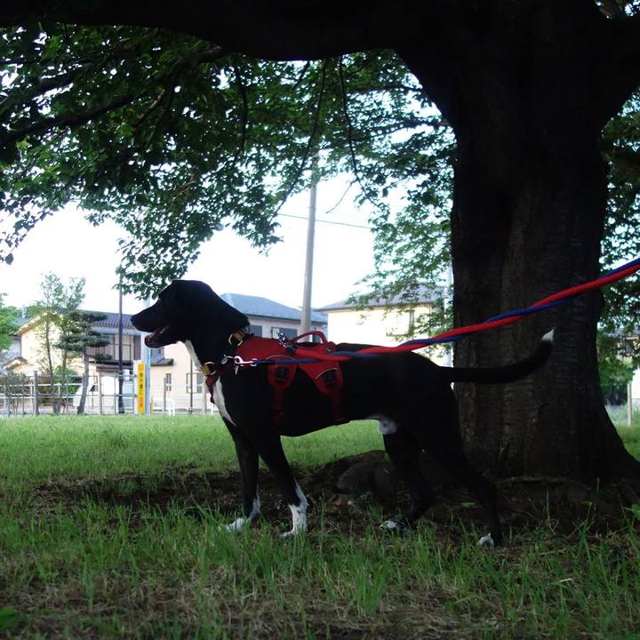 982b1fb3 8c4c 4dc3 9a27 a92630a8b86b 1589712835905