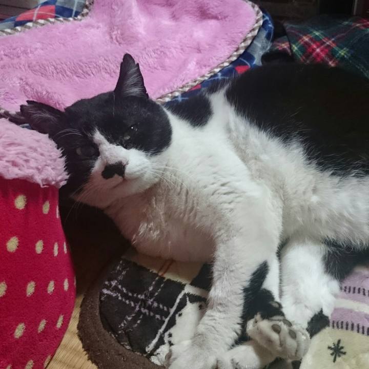 982b2f23 be82 4029 b868 2cc876b663e0 1520080623733