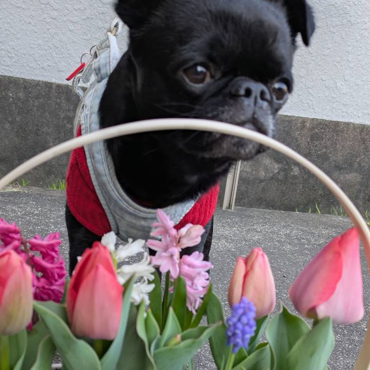 982b48ee 795e 4f73 a9b7 5fd343e4656f 1773756753639