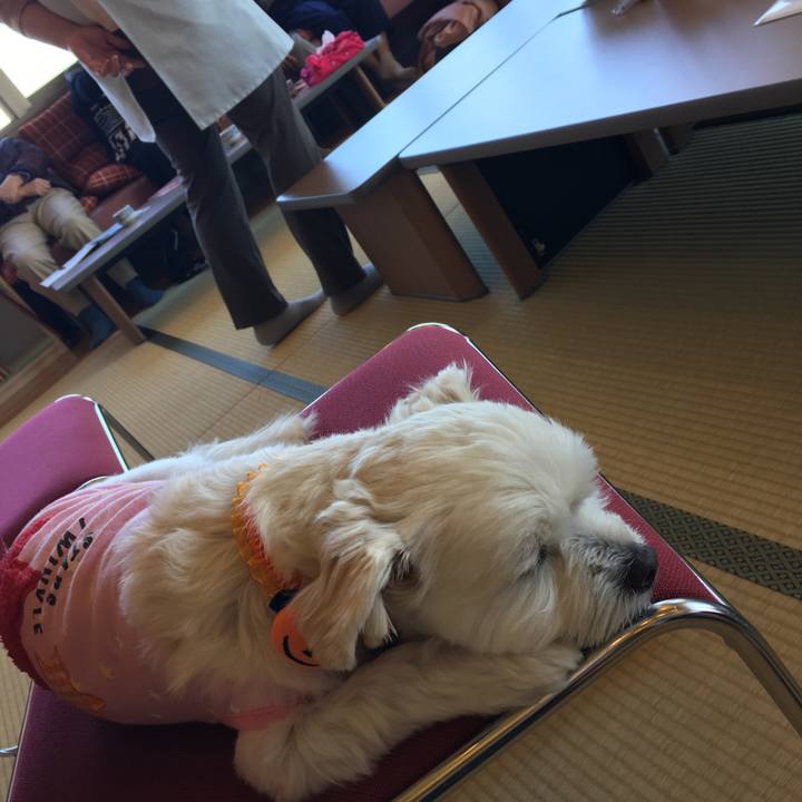 982b5aaa 98f8 43ad 8cc0 94b6c45d855c 1509069014087