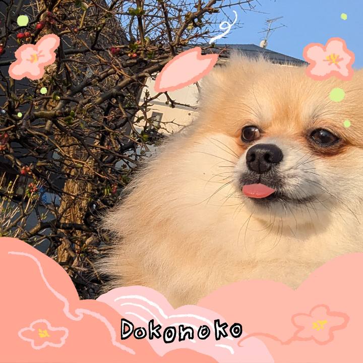 982b6e27 43fd 4f12 bfbc 751d4cfb5965 1775255088895