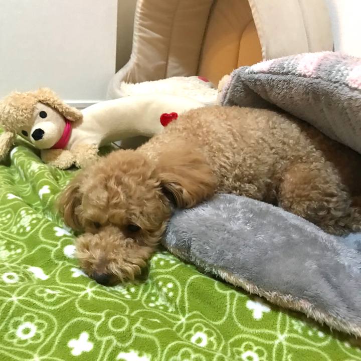 982b7a0b 9383 401a ad83 8117a10c0af2 1524060368386