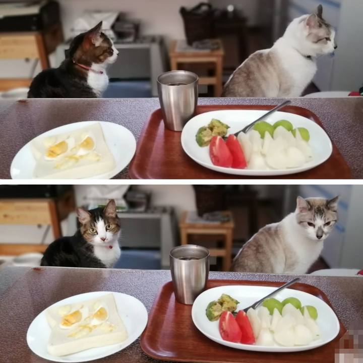 982b98d7 2ecc 4c8d a634 2ba27c3f67a4 1597790307888