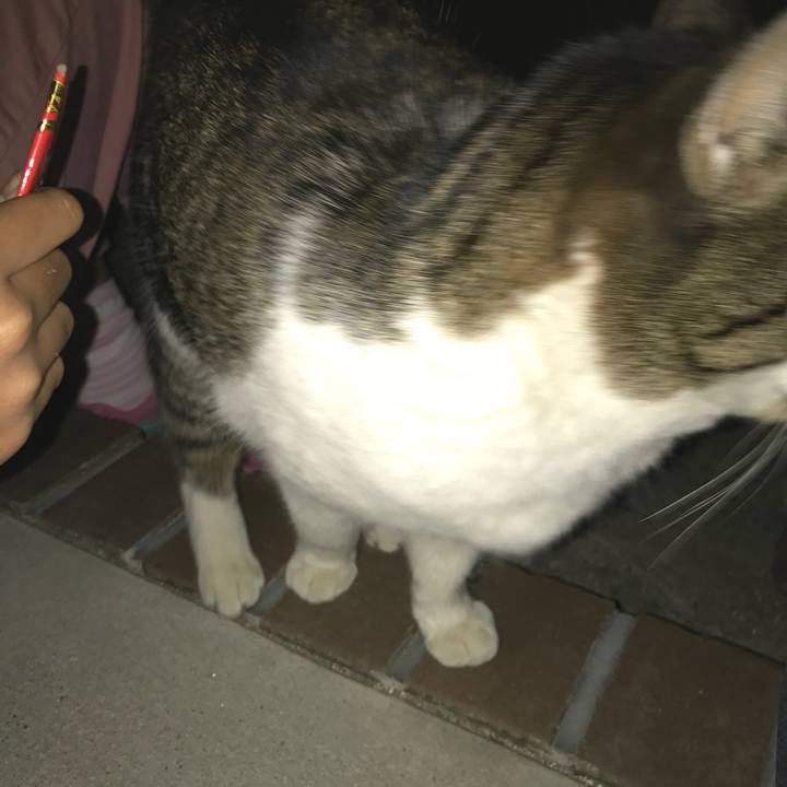 982bb997 ba2e 4fec 9ffe 02cfbf78a8b7 1553490025280