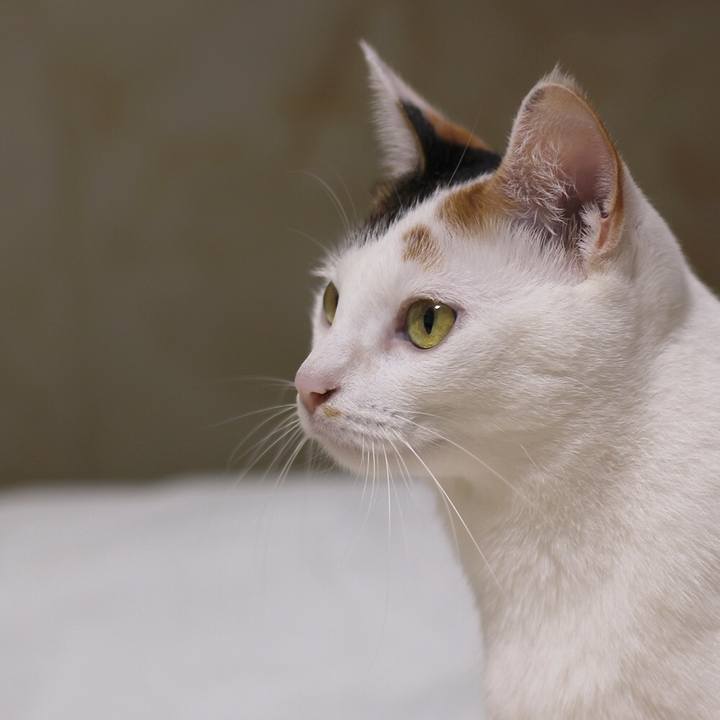 982be0e8 9ea1 4a08 a4ab 6a38662ef301 1593830245133