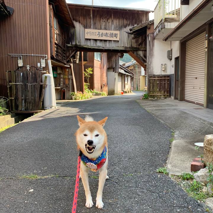 982bf961 dbb9 4fd4 ba97 258756c9bc86 1631782455341