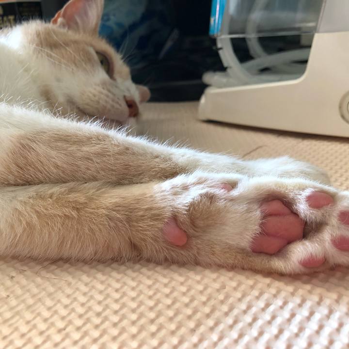 982c0cfc 0026 439a 9bcd 16ba1d2cfee1 1627084972147