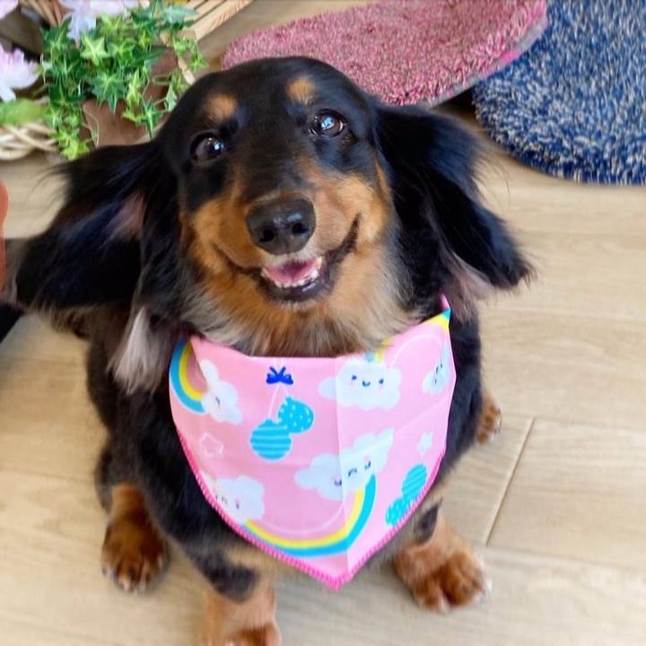 982c1d10 d1b5 443d 9a40 ccd82304fc2c 1653795963317