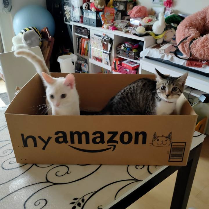 982ce649 5b62 47db 8cc4 a9a24e531682 1629066547112