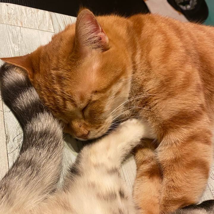 982cfbe0 f1dc 4685 902d 0f29a222b74f 1585156308037