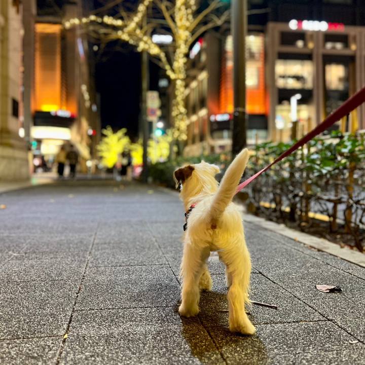 982cfffc 6f60 419e 9d69 28a0a5a9183e 1703332483017