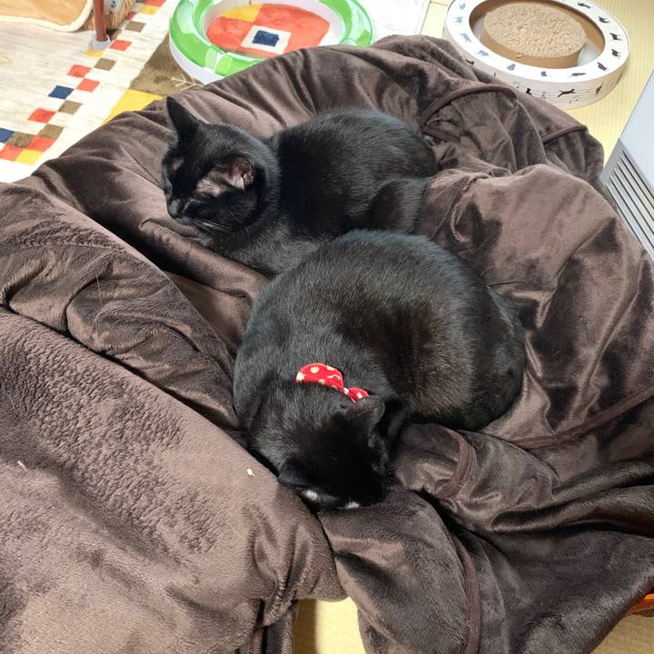 982d11c9 9164 432f 97e0 8c992261b2f2 1583033391892