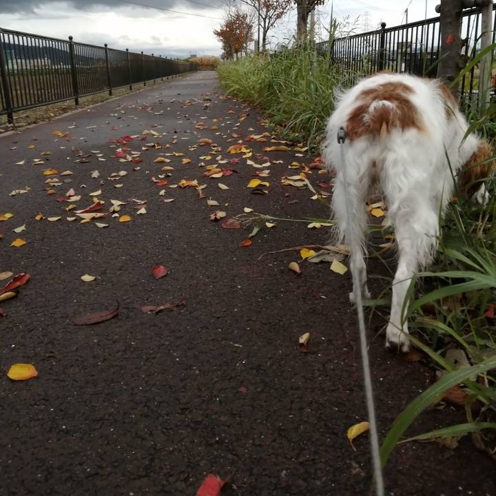 982d18c9 5568 45c4 a734 80e2651e2a62 1575273502407