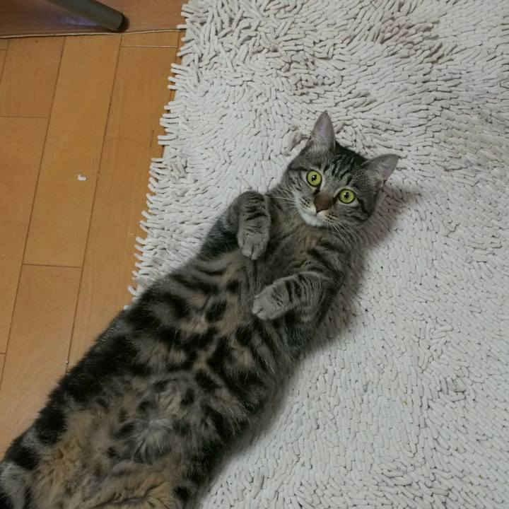 982d45b4 7c3a 4a36 9936 f6d6ac89c30e 1529329001823