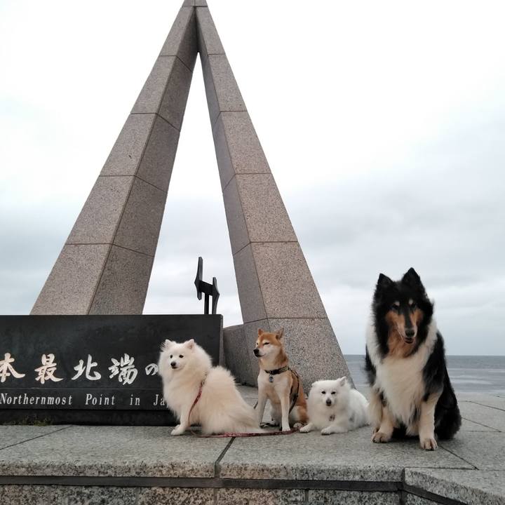 982d4a0f ec2b 44d7 a6c6 569a961220b9 1565620941669