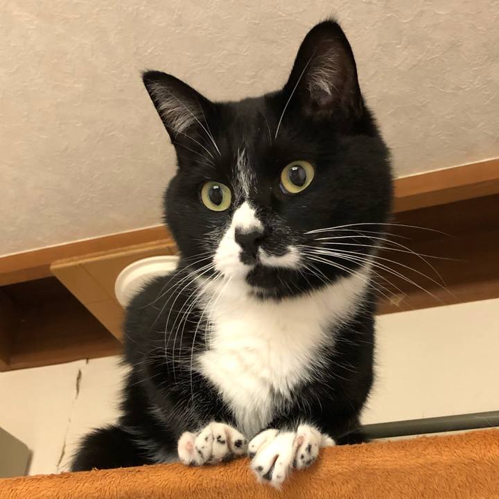 982d5c44 d70e 4615 84b7 d8aa1705e4f1 1579664581468