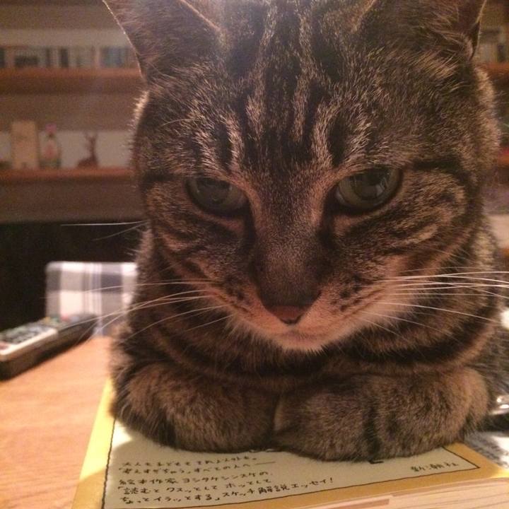 982d699c 32eb 4eb7 8576 fa076768dd17 1562588674555