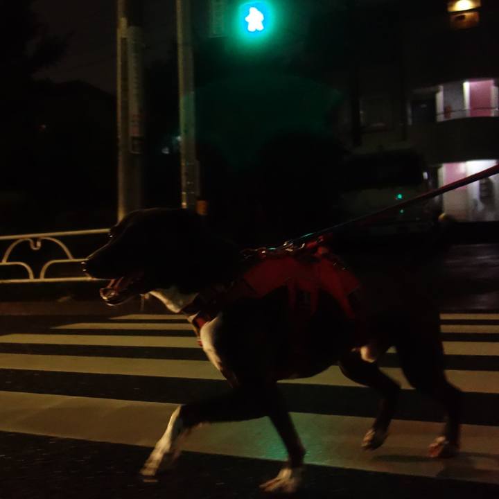 982d73e8 9c60 4c55 bd4d 2e9775af6ac3 1601115238172