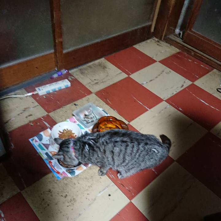 982d90c8 f195 4838 8f5a 6f5efc0b6841 1589142729920