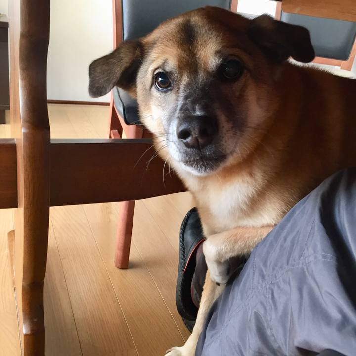 982dbc7b b3e3 4b47 a195 a6b0003ce2c8 1515747632441