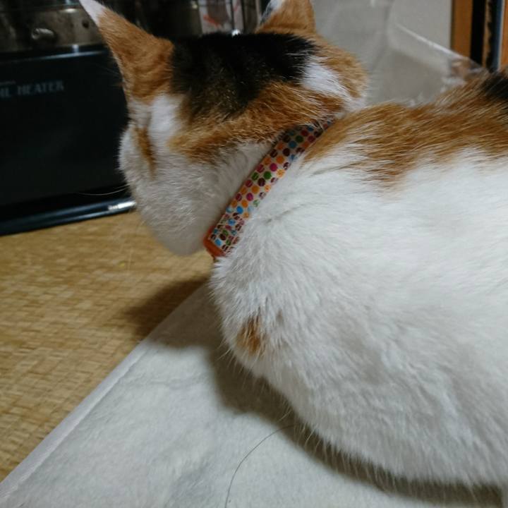 982de9cb 526b 4a0d afc6 94ef1981177e 1519227333758