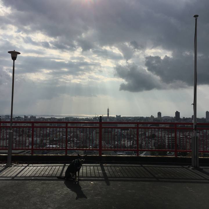 982e25cb a161 4d7d af98 a70aa0cfeb41 1510365457435