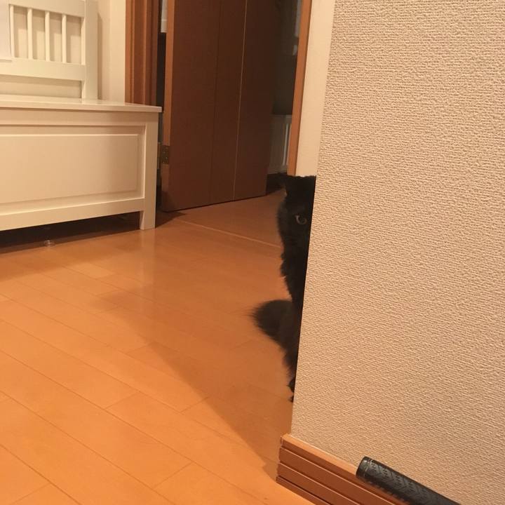 982e6027 02ca 405e b6d7 f49d084bd708 1531836311973