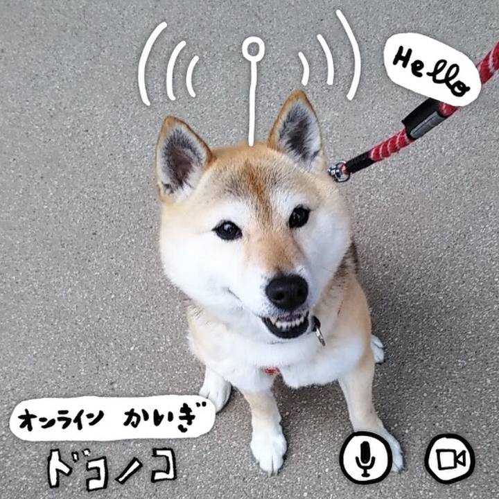 982e7cfc 5e7e 4998 9adf 7e1b80b2eca9 1591342895529
