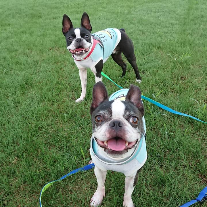 982e7d38 84ce 4404 a45f a82158fee17e 1531088610280