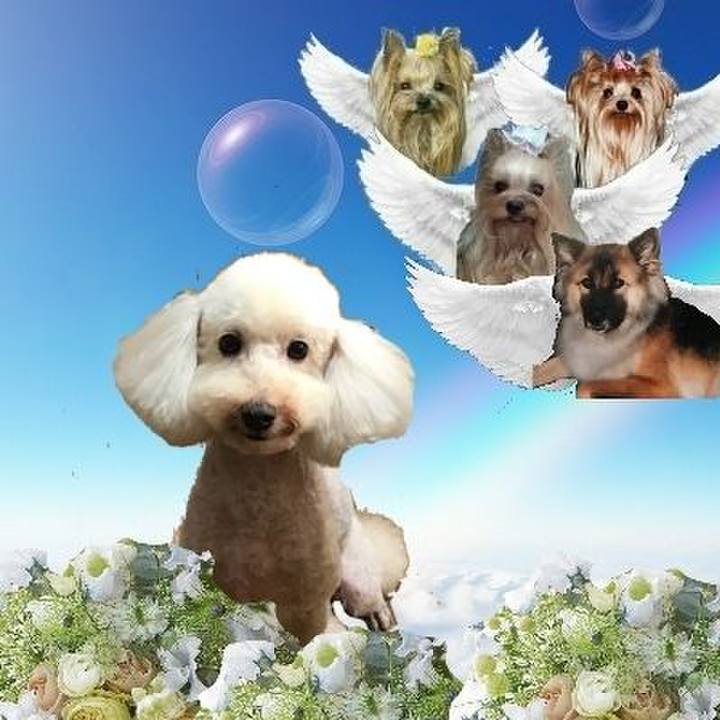 982e7fbd f4af 4e93 acc6 c31f8d85f18b 1707440152615