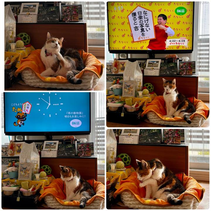 982e9a03 c6ef 4a70 8dd8 69a29811110c 1713738502817