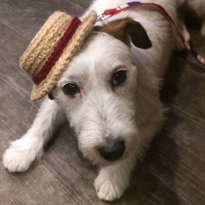 982ec132 fe0f 4848 923e d7c790b03ebd 1535903763100