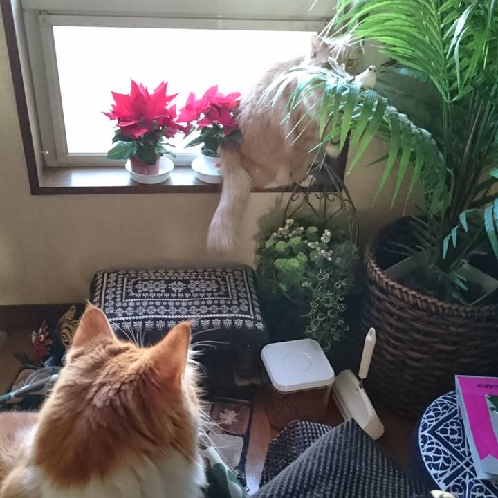 982ec373 2fa5 493b 842a cadfb50a1d82 1512187007094