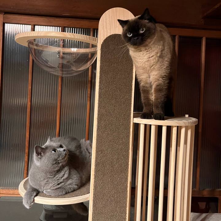 982ef6b1 259c 4691 b0a0 48e1cb154b96 1711024318628