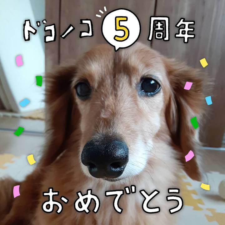 982f517b df71 442b b19a 42e55d3f6b1a 1622890118434