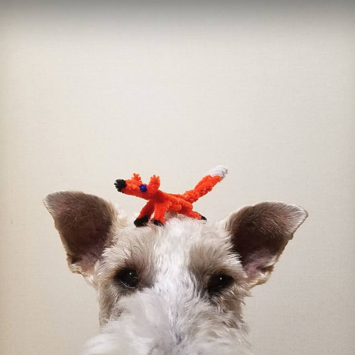 982f533a eeda 4ed4 a5f4 f424ac1c4106 1553784735917