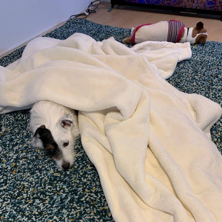 982f6abc 9714 4ddd 9ef0 14dccbb26ea3 1583647625069