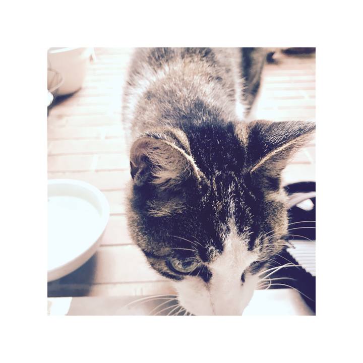 982f7651 2471 4204 afe0 21a9eaaaf32e 1662516500049