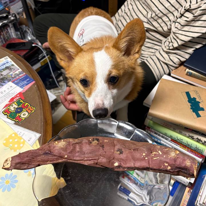 982f7e05 967a 46fb b847 6ae80432bbf1 1772898984651