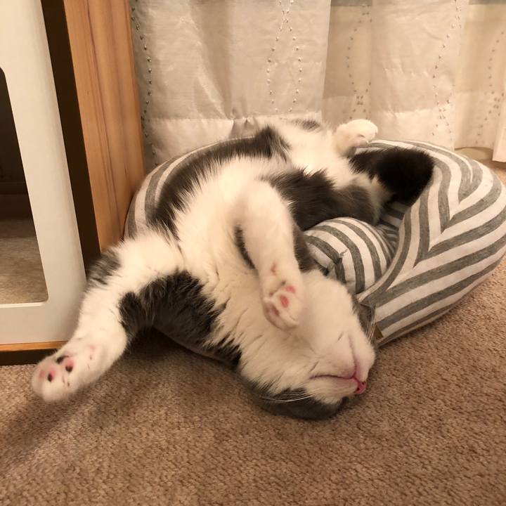 982fab66 48b1 4cfa a275 31a246faf5d4 1525795728456