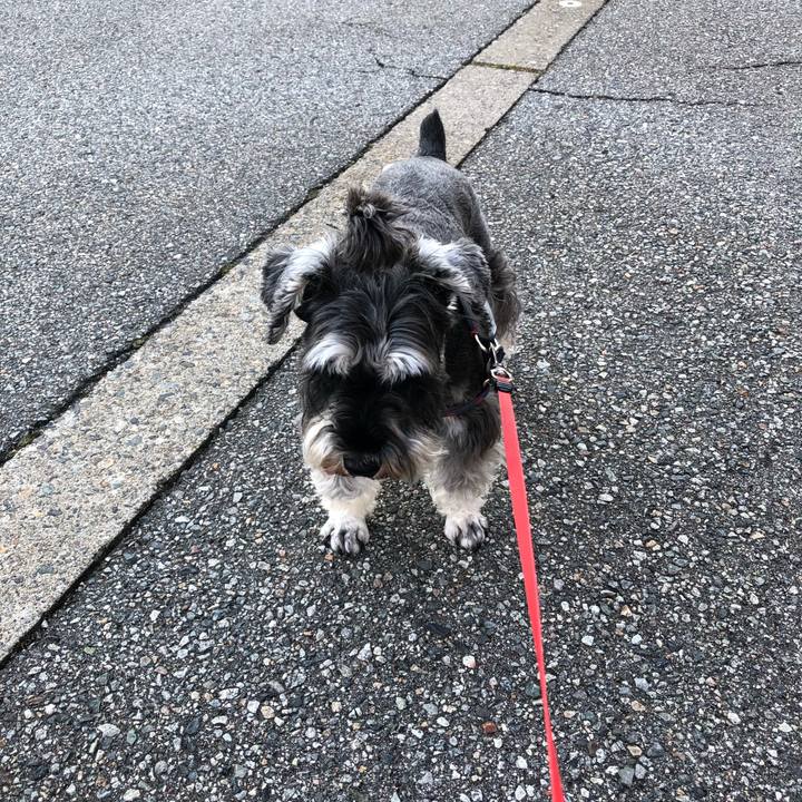 98302a73 0b5a 470e b753 72411e9c2134 1626469155768