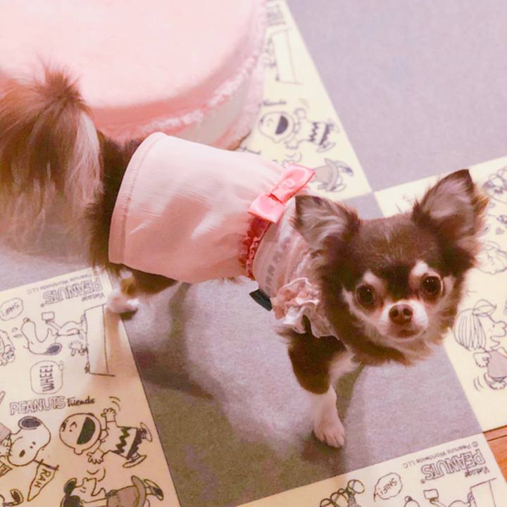 983044ff 75bc 4b5c a2ff e21ce68e630c 1562888943074